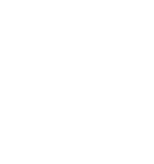 The Wood Forest